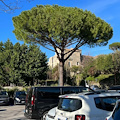 A Ravello arriva MooneyGo: sosta e biglietti SITA a portata di app