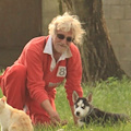 Addio a Danilo Furlanetto, l’uomo che ha scelto la strada per non abbandonare i suoi cani
