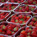 Agea stanzia oltre 11,5 milioni per le imprese agricole campane