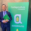 Agricoltura, in Campania sospeso per quattro giorni il divieto di spandimento degli effluenti zootecnici
