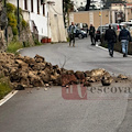 Amalfi, crolla una macera sulla strada all’altezza dell’ex Turistico