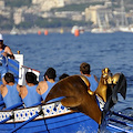 Amalfi rinuncia a Regata Repubbliche Marinare. Si svolgerà a Genova il 19 dicembre