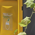 Amalfi sempre più green. Installati i Lemon Bins, per migliorare la differenziata e combattere l’abbandono dei rifiuti in strada