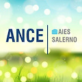 Ance Aies Salerno sul Coronavirus: «Bloccati cantieri con incalcolabili danni socio economici»