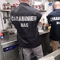 Blitz dei Nas nelle provincie di Salerno e Avellino: chiuse diverse strutture alberghiere che ospitavano studenti in gita 