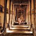 Cantine Aperte: in Toscana i wine lovers per “il bello della Toscana”