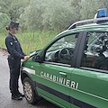 Castellabate, due complessi edilizi sotto sequestro per violazioni urbanistiche