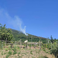 Cava de’ Tirreni, incendio sul Monte Crocelle
