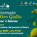 Cetara celebra il limone con "Le Giornate dell’Oro Giallo" organizzate da L'Innesto