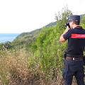 Cilento, Vallo di Diano e Alburni: vigilanza rafforzata dei Carabinieri Forestali per Ferragosto
