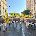 Coldiretti Salerno: emergenza cinghiali, nel Parco Regionale dei Monti Picentini arrivano i cacciatori abilitati