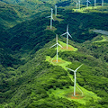 Confagricoltura Campania promuove “Skills for Transition”, il programma di formazione gratuito per sviluppare competenze green lanciato da UniCredit