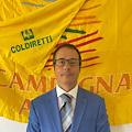 Consorzio “Vita Salernum Vites”: il nuovo presidente è Marco Serra, vice Luigi Scorziello e Prisco Apicella