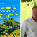 Costa d'Amalfi, i terrazzamenti entrano nel patrimonio agricolo mondiale FAO. Lollobrigida: "Grande orgoglio" 