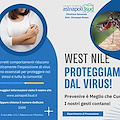 Disinfestazione straordinaria a Sorrento per prevenire il virus West Nile