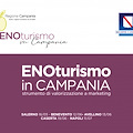 Enoturismo in Campania, via alla nuova legge regionale: confronto tra istituzioni e territorio nel Sannio e in Irpinia