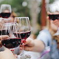 Enoturismo in Lombardia +16%: Wine Suite conquista l’America con Performant Capital