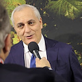 Expo 2025 Osaka: la Campania protagonista al Padiglione Italia tra cultura, innovazione ed eccellenze agroalimentari