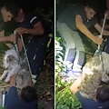 Fuggito a causa dei botti a Tramonti, il cane Charlie ritrovato sano e salvo dopo tre giorni di angoscia 
