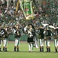 Gran galà per "La Combriccola Bianco-Verde"