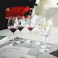 I Vini Costa d’Amalfi DOC protagonisti a “Campania Stories”