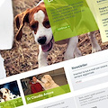 Il Centro Veterinario Amore approda al web