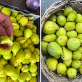 Il fico, dolce nutrimento che diventa memoria: fresco o essiccato, un tesoro da Montepertuso a Positano