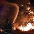 Incendio a San Mango Piemonte: in fiamme la macchia mediterranea