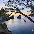 L’Associazione "Battiti di Pesca" insignita del Premio Campanile d’Oro per l'impegno sportivo e sociale sull'isola di Capri 