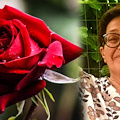 Maiori saluta la Maestra Alfonsina Di Cosmo, educatrice amata a Scala