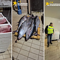 Napoli, sequestrata una tonnellata di pesce senza tracciabilità al mercato di Mugnano
