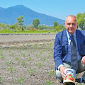 Nasce il San Marzano Village: la nuova casa dell’Oro Rosso con l’Academy al centro della formazione