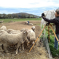 “Organic - Contadini & Chef della Hudson Valley”, a Salerno la mostra fotografica di Francesco Mastalia 