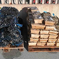 Palermo, distrutti 500 kg di molluschi "pericolosi": il carico illegale proveniente da Napoli 