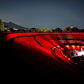 "Pompei è musica": dal 27 giugno al 5 agosto la seconda stagione di concerti all’Anfiteatro degli Scavi 