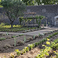 Pompei, torna a splendere il Giardino di Ercole dopo gli interventi di riqualificazione e di valorizzazione 