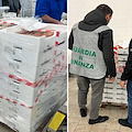 Porto di Salerno: eseguiti importanti e capillari controlli alla filiera ittica locale 