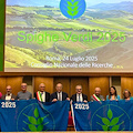 Positano conferma il riconoscimento "Spighe Verdi" anche per il 2025
