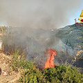 Prignano Cilento in fiamme: dieci ettari di macchia mediterranea e uliveti distrutti