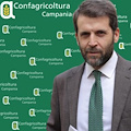 Rafforzamento Servizio Fitosanitario, Conte (Confagricoltura Campania): “Scelta giusta per tutelare imprese, filiere e ambiente”