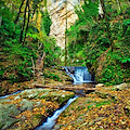 “RiservAmica”, a Scala un’escursione alla Valle delle Ferriere per la Giornata Internazionale della Biodiversità