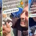 Sala Consilina, gattini chiusi in una busta e gettati in un canale: Enzo si tuffa e li salva 