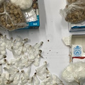 Salerno, arrestato spacciatore con cocaina ed eroina
