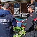 Santa Marina, sequestrata villetta in costruzione a Policastro Bussentino: ipotesi abusi edilizi in zona vincolata