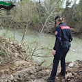  Sequestrata azienda zootecnica a Capaccio Paestum: reflui bufalini sversati verso il fiume Tusciano