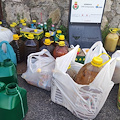 Sorrento, tornano gli appuntamenti con l'Isola ecologica del tesoro 