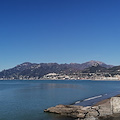 Topi in mare, Tommasetti: “Così i bagnanti scappano da Salerno”