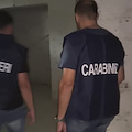 Traffico di stupefacenti a Caivano: custodia cautelare in carcere per 5 persone, colpito il clan Ciccarelli-Sautto