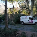 Tragedia a Cava de' Tirreni: muore schiacciato da albero abbattuto dal vento