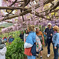 Tramonti, riapre il Giardino Segreto dell’Anima: botanici viennesi inaugurano la nuova stagione tra glicini e camelie